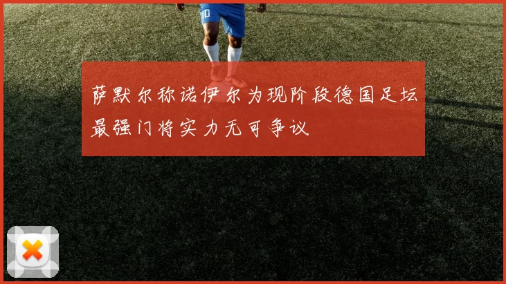 萨默尔称诺伊尔为现阶段德国足坛最强门将实力无可争议