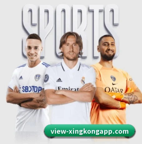 星空体育 APP - StarskySports