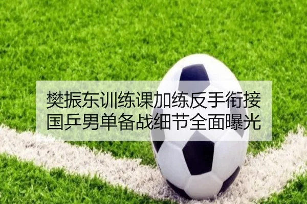 樊振东训练课加练反手衔接 国乒男单备战细节全面曝光 - StarskySports
